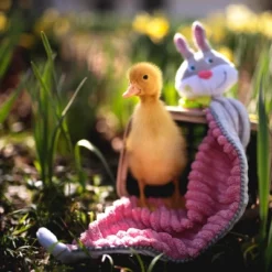 HABA Cuddly Bunny Hops Snuggly Lovey Baby Blankie -Haba GUEST 0616dea2 9521 4b1f 9c01 1d3bd573920c